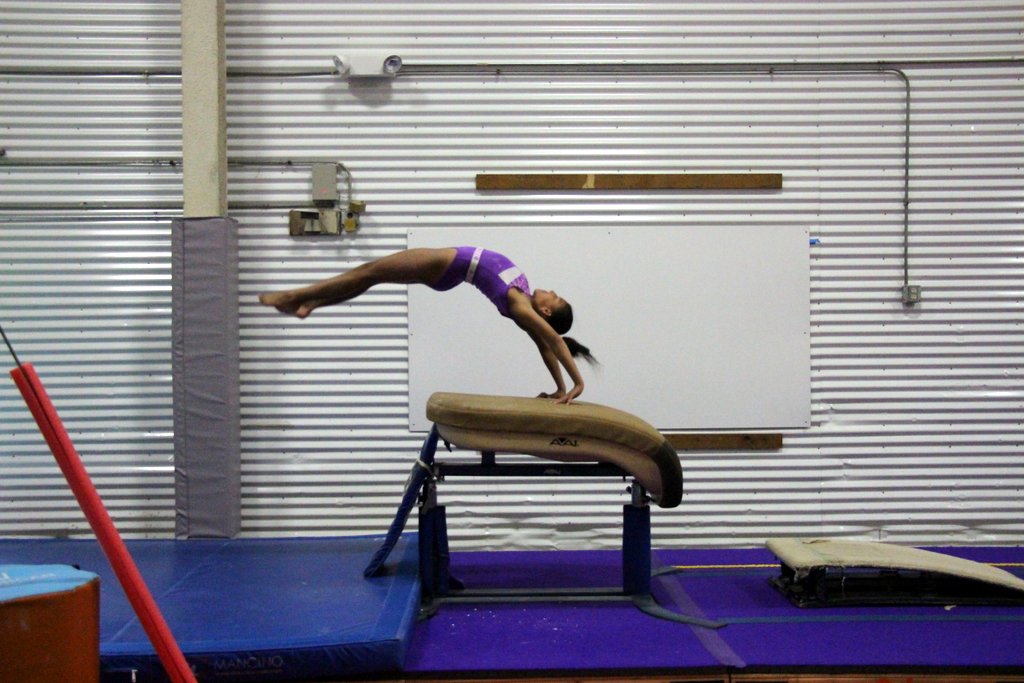 Gymnastics